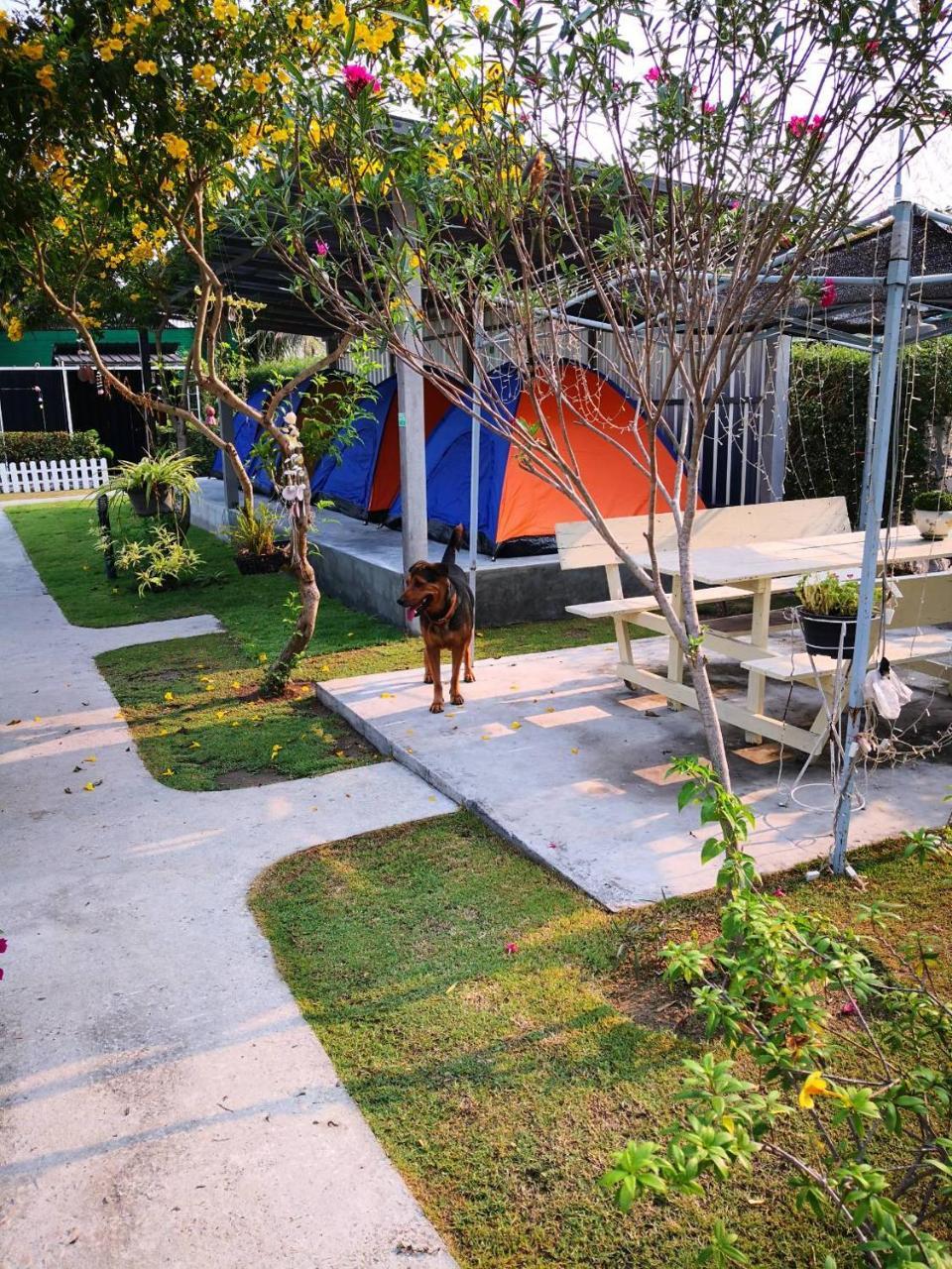 Sports Bar & Resort Pakchong Bagian luar foto